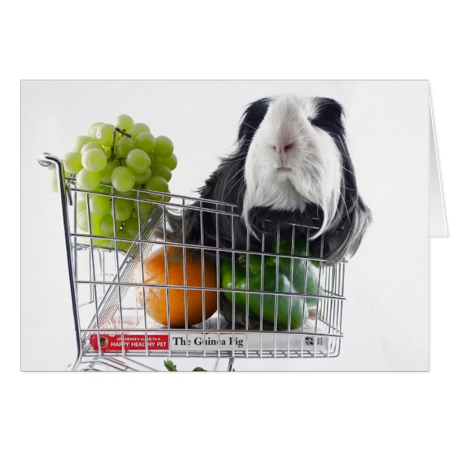 Guinea pig shopping spree (Front Horizontal)