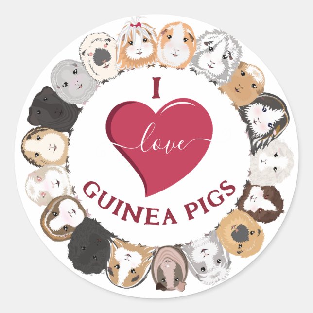 Guinea Pig Sticker (Front)
