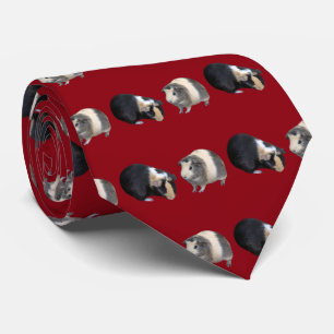 Guinea pig tie