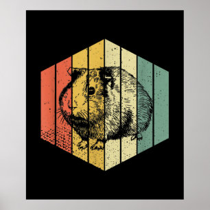 Guinea Pig   Vintage Guinea Pig Animal Poster