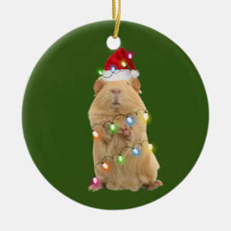 Guinea Pig With Hat Lights Christmas Ceramic Tree Decoration