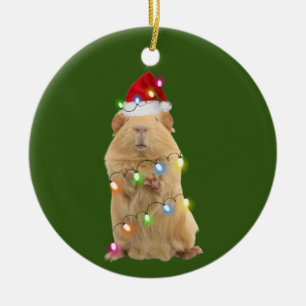 Guinea Pig With Hat Scaft Christmas Ceramic Tree Decoration