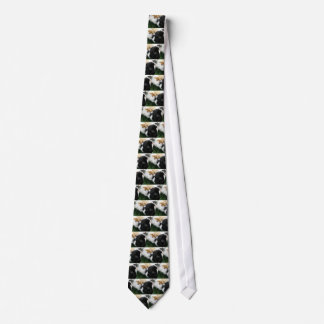 guinea pigs 2 tie