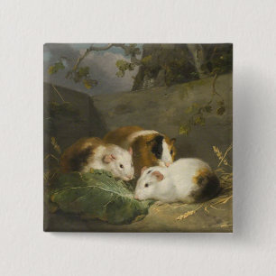 Guinea Pigs (by George Morland) 15 Cm Square Badge