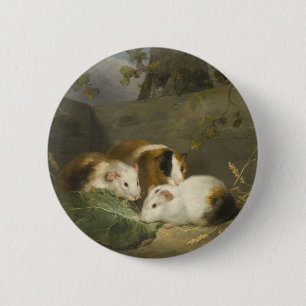 Guinea Pigs (by George Morland) 6 Cm Round Badge