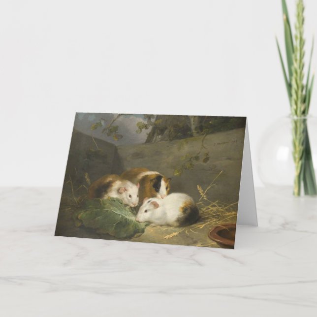 Guinea Pigs (by George Morland) Card (Front)