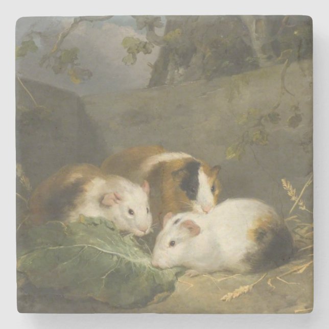 Guinea Pigs (by George Morland) Stone Coaster (Front)