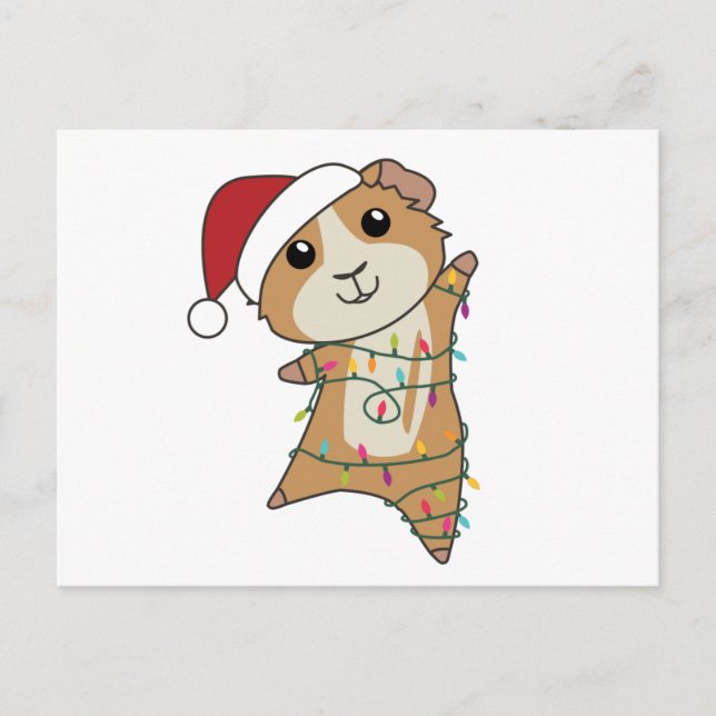 Guinea Pigs Christmas Winter Animals Postcard (Front)