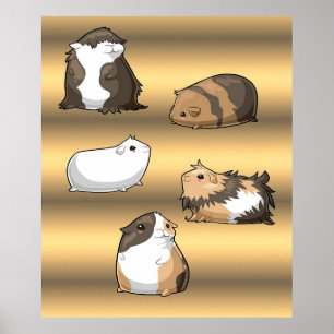 Guinea Pigs   Cute Guinea Pigs Gold Lover Gifts Poster