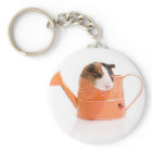 guinea pigs in a watering can