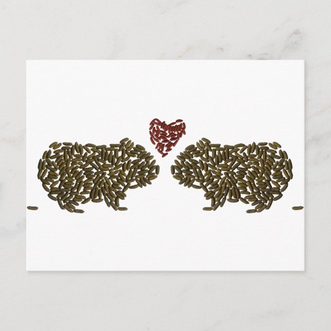 Guinea Pigs in Love Postcard (Front)