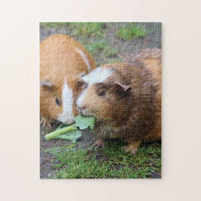 Guinea Pigs Jigsaw Puzzle (Vertical)