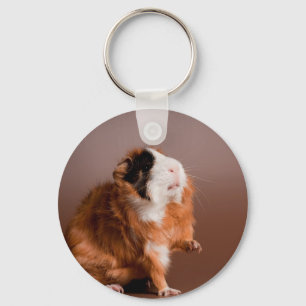 guinea pigs key ring