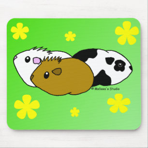 Guinea Pigs Mouse Pad