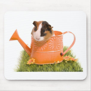 guinea pigs on a lawn mouse pad