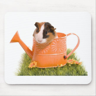 guinea pigs on a lawn mouse pad