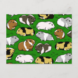 Guinea pigs pattern postcard