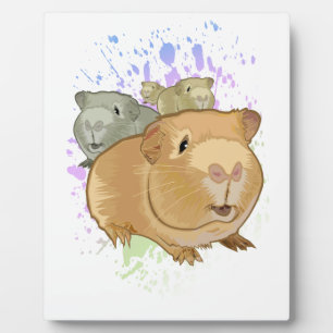 Guinea Pigs Plaque