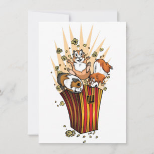 Guinea Pigs Popcorn