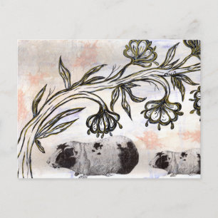 Guinea Pigs Postcard