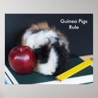 Guinea Pigs Rule Poster