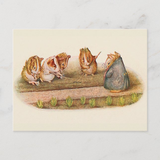 Guinea Pigs Tending Garden Postcard (Front)