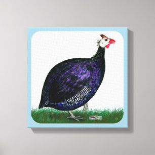 Guinea Royal Purple and Sky Canvas Print