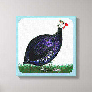 Guinea Royal Purple and Sky Canvas Print