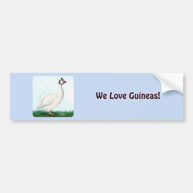 Guinea White Bumper Sticker (Front)