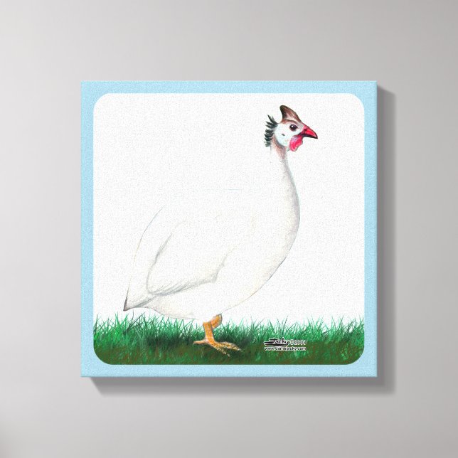 Guinea White Canvas Print (Front)