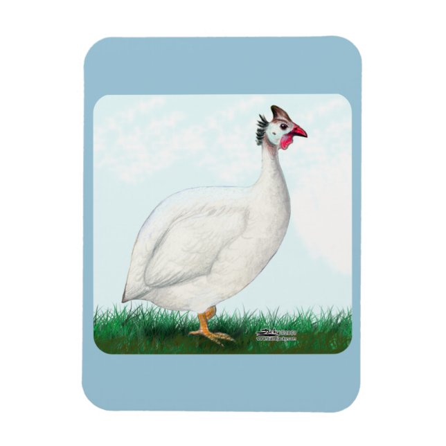 Guinea White Magnet (Vertical)