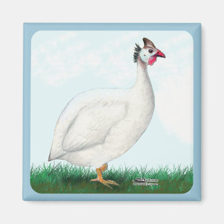 Guinea White Magnet