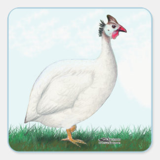 Guinea White Square Sticker