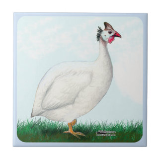 Guinea White Tile