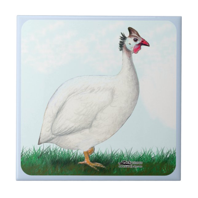 Guinea White Tile (Front)