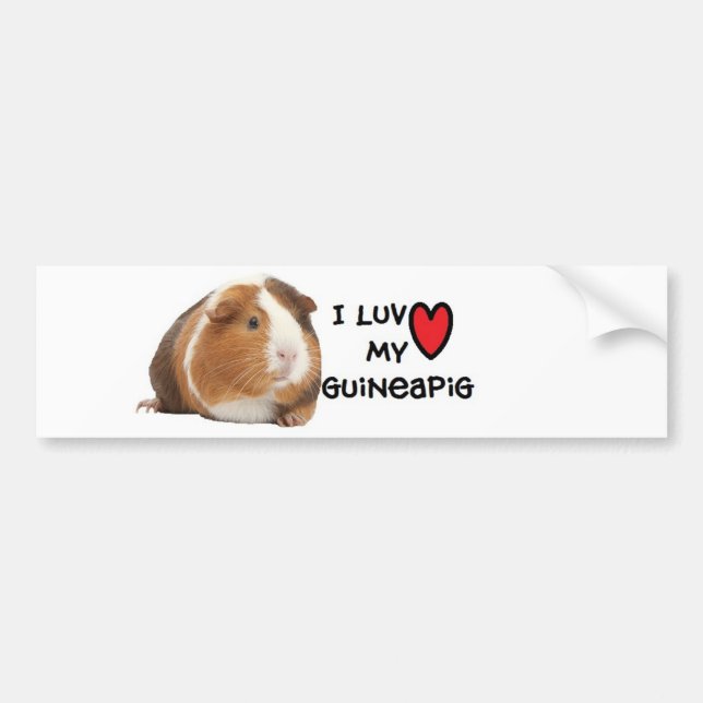 Guineapig Bumper Sticker"I love My Guineapig" Sticker (Front)