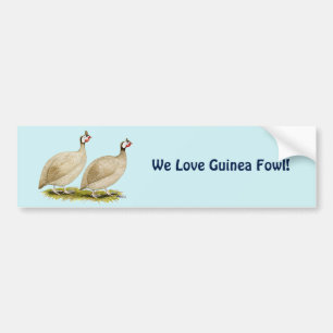 Guineas Buff Dundotte Fowl Bumper Sticker