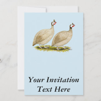Guineas Buff Dundotte Fowl Invitation