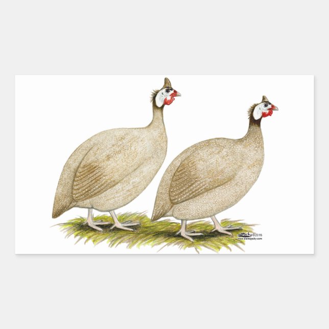 Guineas Buff Dundotte Fowl Rectangular Sticker (Front)