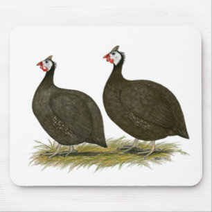 Guineas:  Chocolate Mouse Pad