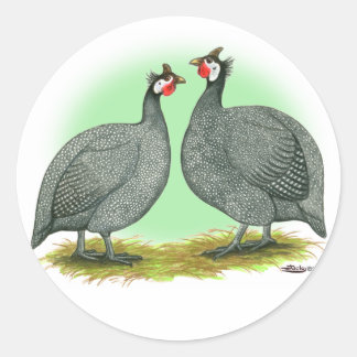 Guineas: French Classic Round Sticker