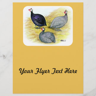Guineas Purple, Coral Blue and Lavender Flyer