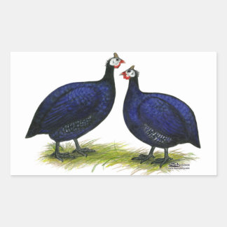 Guineas Royal Purple Pair Rectangular Sticker