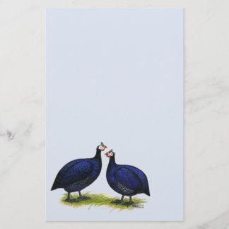 Guineas Royal Purple Pair Stationery