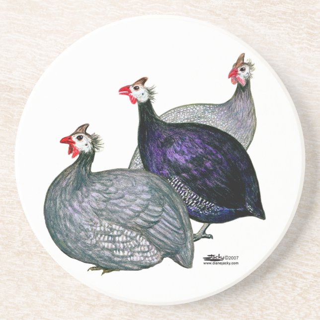 Guineas Three Coaster (Front)