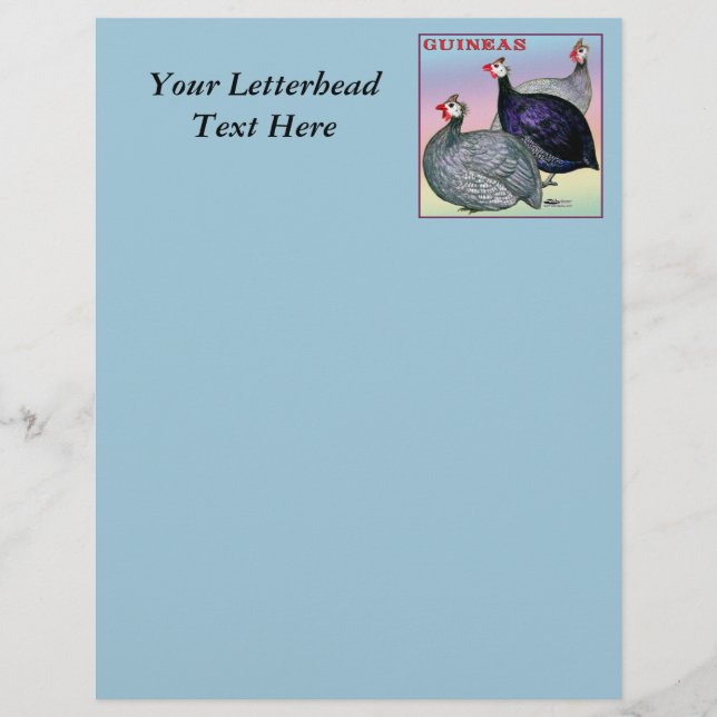 Guineas Three Fowl (Front)