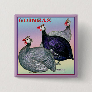 Guineas Three Fowl 15 Cm Square Badge