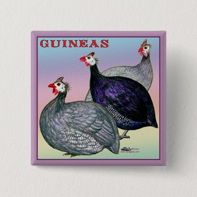 Guineas Three Fowl 15 Cm Square Badge (Front)