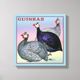 Guineas Three Fowl Canvas Print