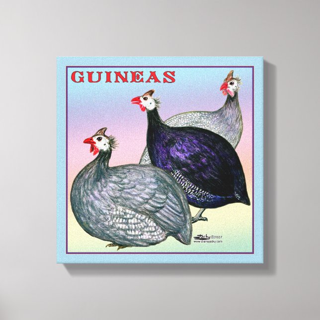 Guineas Three Fowl Canvas Print (Front)
